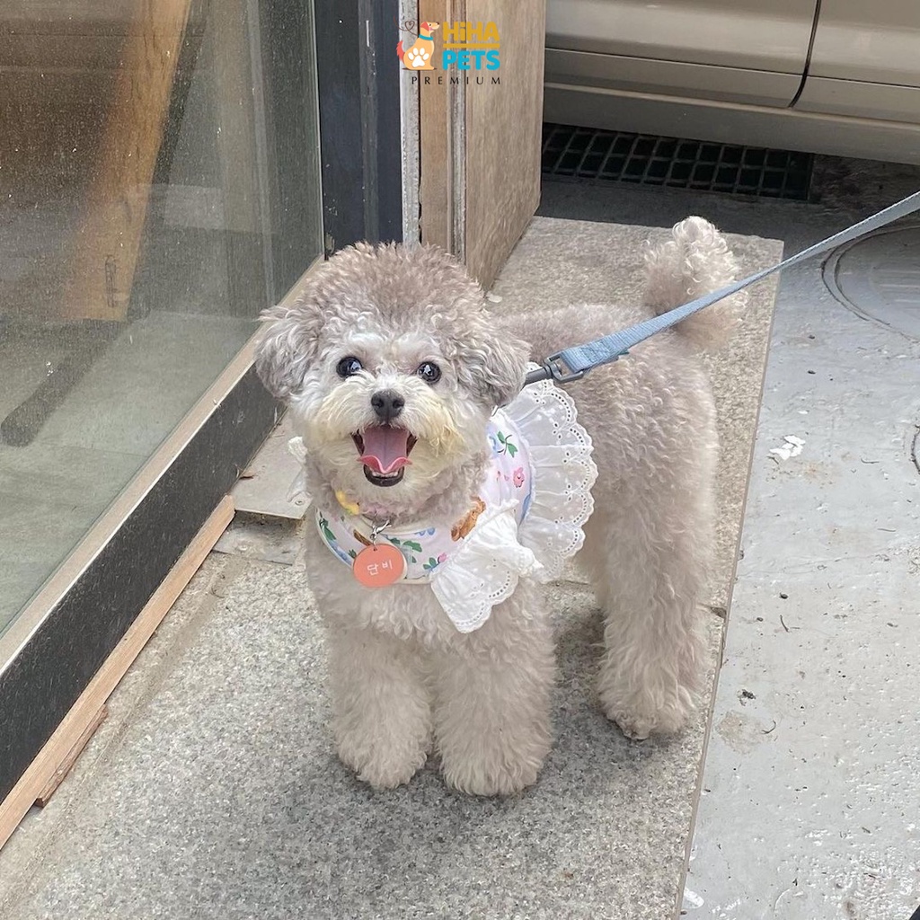 Dây Dắt Chó Mèo Đi Dạo Có Kèm Yếm Dây Dắt Thú Cưng Hàn Quốc Premium Hiha Pets.