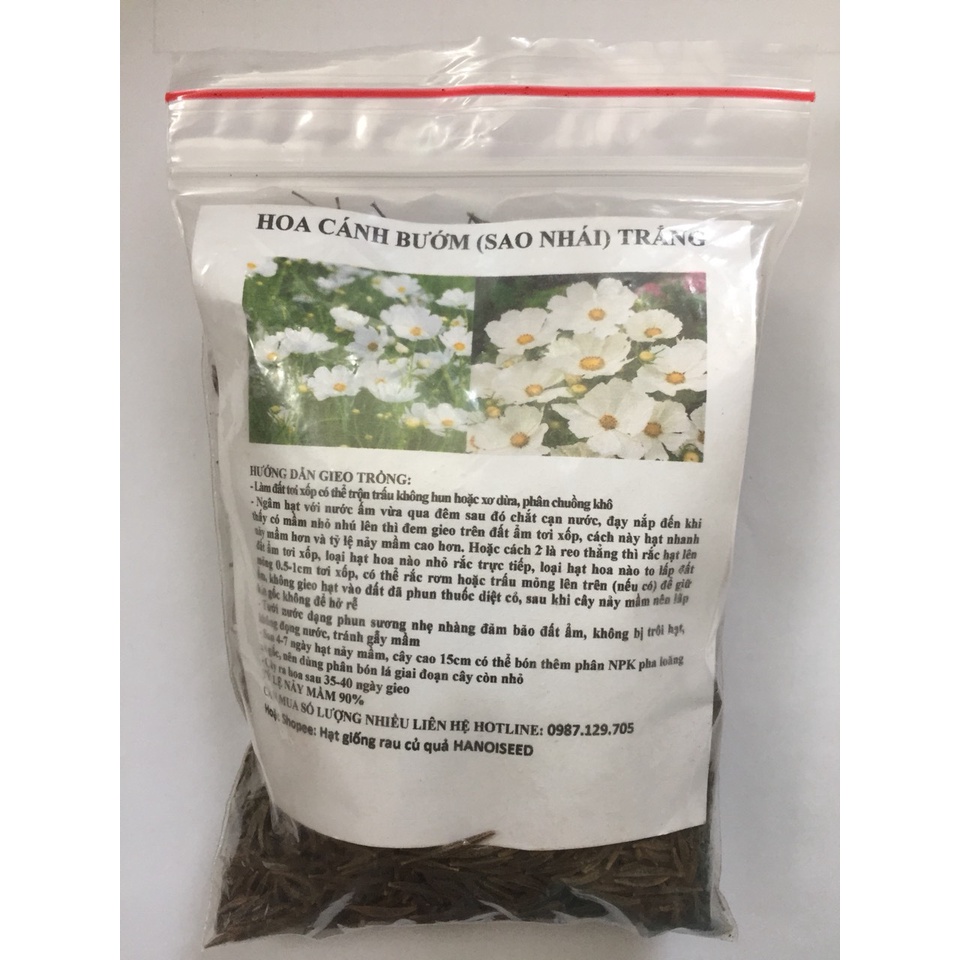 Hạt giống hoa sao nhái - cánh bướm MÀU TRẮNG GÓI 1 LẠNG nhiều hạt đẹp tỷ lệ nảy mầm cao dễ trồng HSN0088