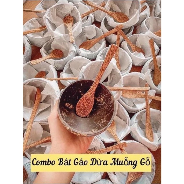 Bộ bát gáo dừa muỗng gỗ cao cấp ăn ngũ cốc, trộn bột