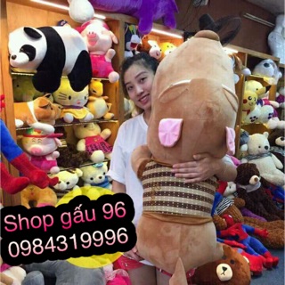 -chó puco khổ 1m3 cao 1m