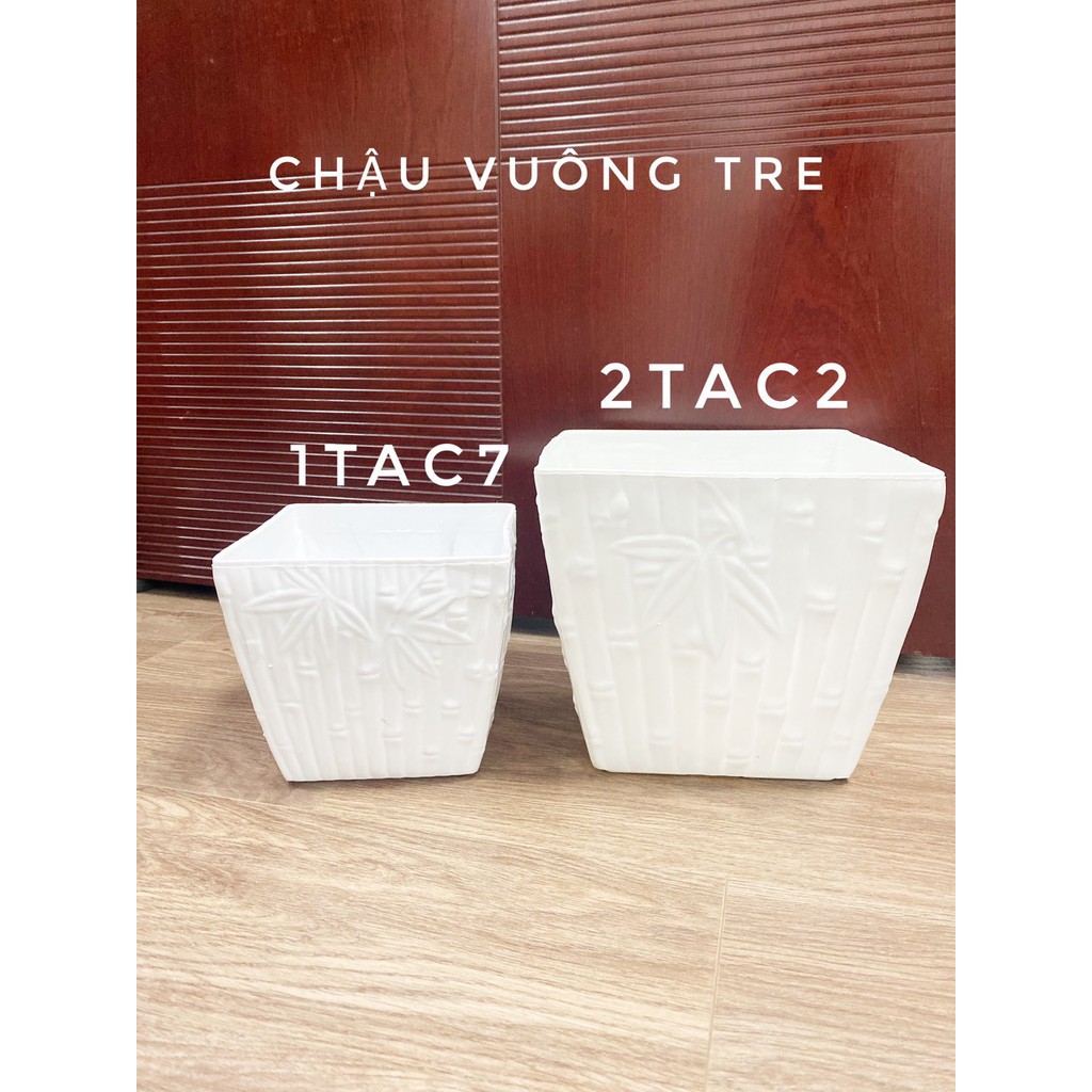 Chậu nhựa Vuông tre