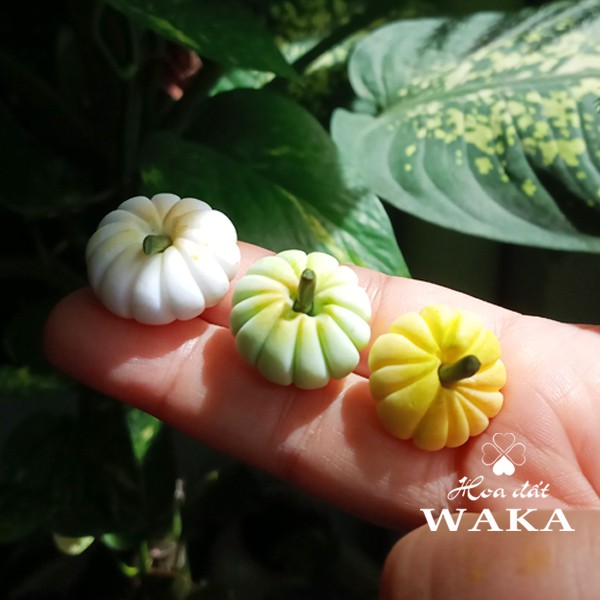 Mô hình 1 Trái Bí Đỏ Mini- Rau Củ Quả Mini 1/12