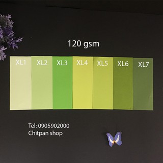 Giấy mỹ thuật A4, A3 tông màu xanh lá - trắng - kem- đen - xám