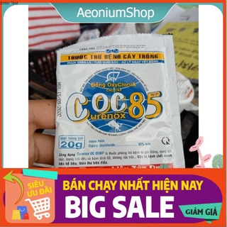 Thuốc Phòng Nấm Bệnh Curenox OC85WP - Coc85 Dành Cho Sen Đá, Xương Rồng 😌