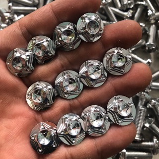 Ốc bắt đĩa salaya