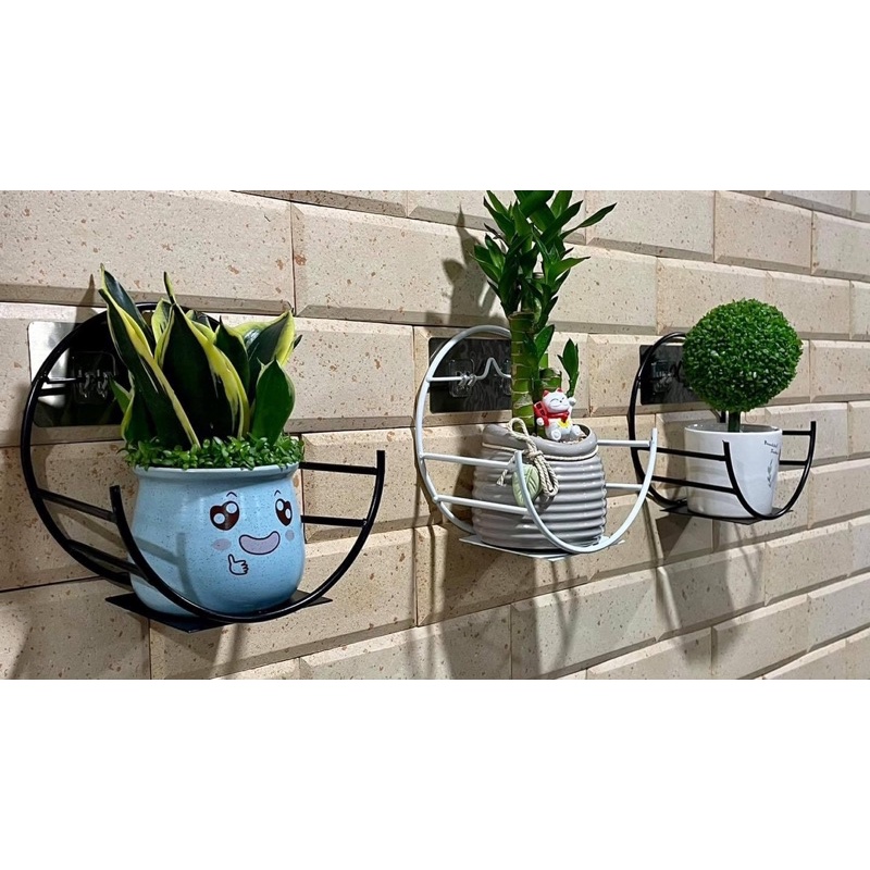 Giá Sỉ Xuất Xưởng - Giá Treo Cây Cảnh, Chậu Hoa
