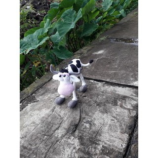 Thú móc len: bò đội mũ