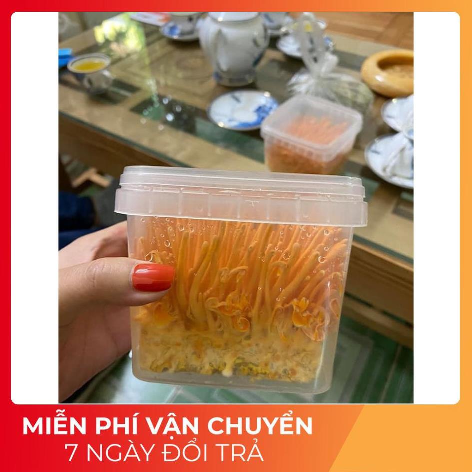 Đông trùng hạ thảo sinh khối tươi