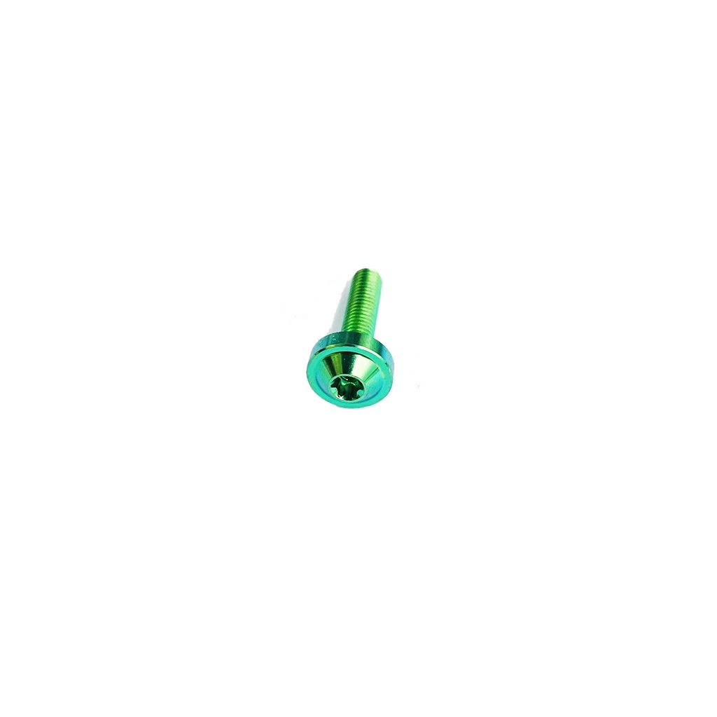 Ốc Titan GR5 5li20 Đầu Dù Gắn bợ cổ Winner, Đồng hồ Winner X,baga winner-PKPH
