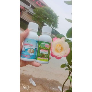 💥CHÍNH HÃNG💥 COMBO OLIGO 100ml+ GARLIC OIL 100ml- phòng trị bệnh do nấm: đốm đen, thán thư, đen thân, gỉ sắt,...