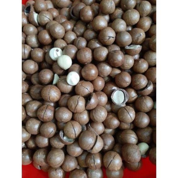 Hạt Macca Tây Nguyên Sấy Nứt Vỏ 500gr  - FREESHIP ĐƠN TỪ 50K