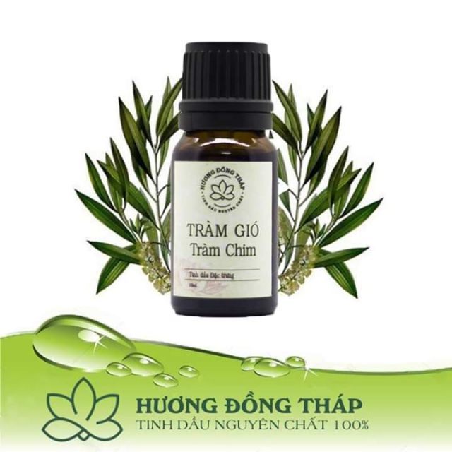 TINH DẦU TRÀM GIÓ TRÀM CHIM - NGUYÊN CHẤT