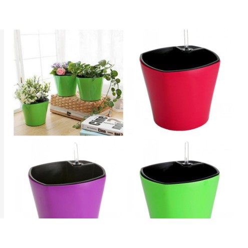 Chậu trồng cây tự dưỡng