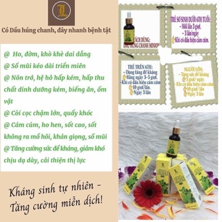 Dầu húng chanh minion