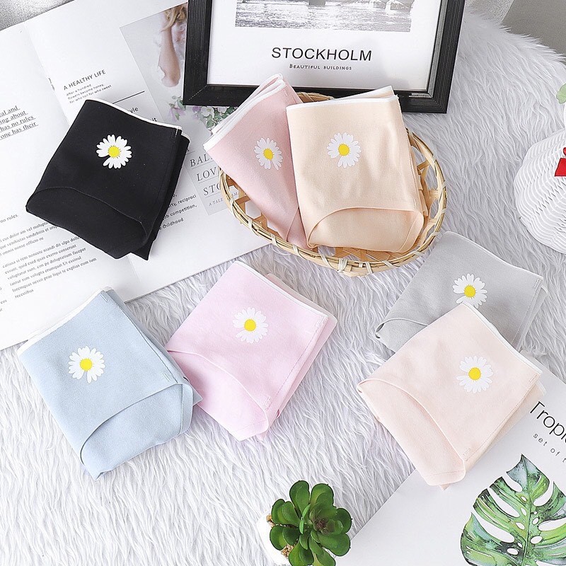 Quần Lót Cotton Không Đường May Hoa Cúc - Quần Lót Cotton Không Đường Viền Hoa Cúc | BigBuy360 - bigbuy360.vn