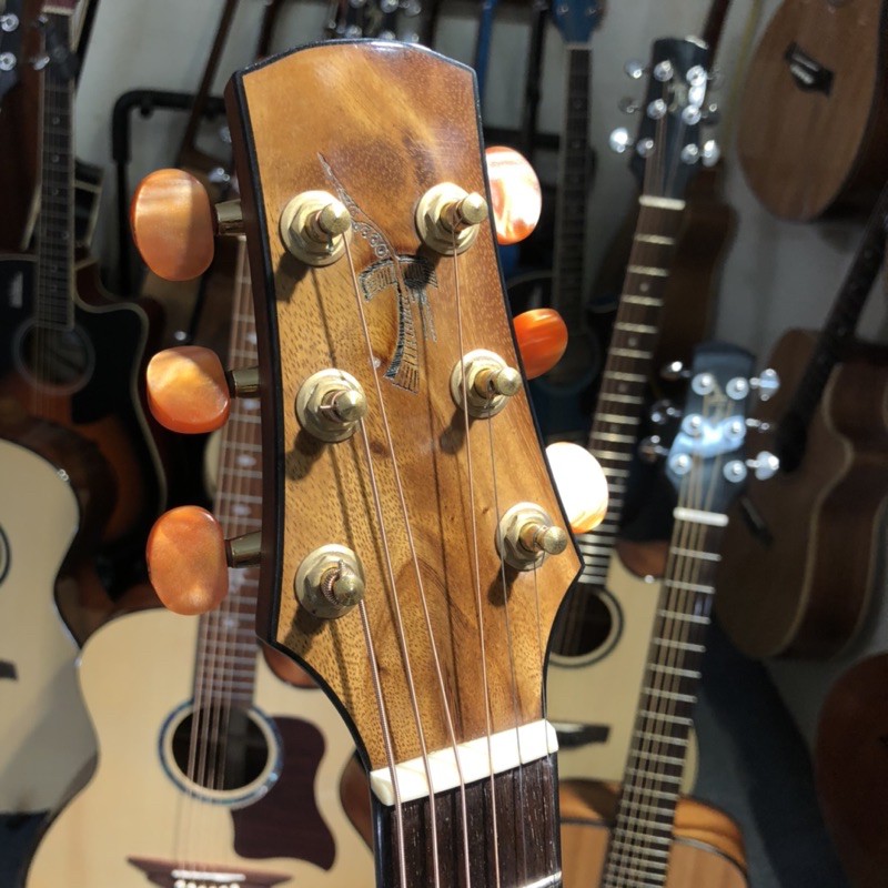 Guitar Acoustic 3/4 Thuận Guitar PS-03TIN EQ