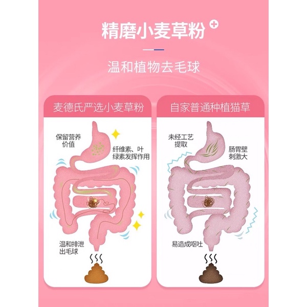 Vitamin InKat giúp tiêu búi lông cho mèo với chiết xuất cỏ lúa mì Surica IN03 (120v)