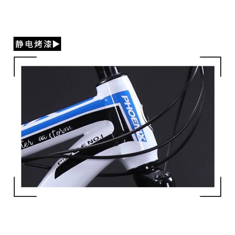 Xe đạp PHOENIX phượng hoàng lửa size 26 khung thép, khung nhôm