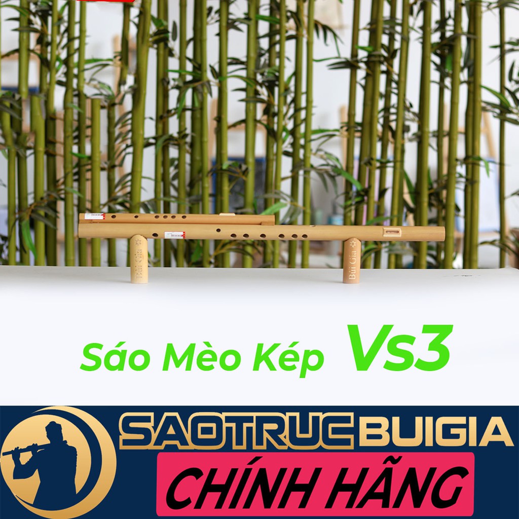 Sáo Mèo Kép Bùi Gia - VS3 Dòng cao cấp chơi lâu dài