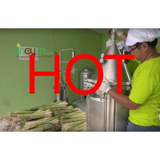 Combo 3 lọ tinh dầu sả chanh 10ml