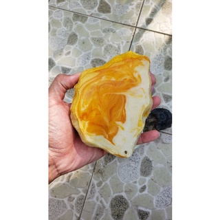 Chén ăn +máng nước cho Rùa và bò sát.