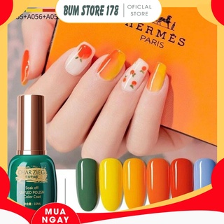 Sơn gel Charzieg bảng màu 55-60 15ml