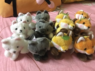 Cáo - gấu - mèo thần tài