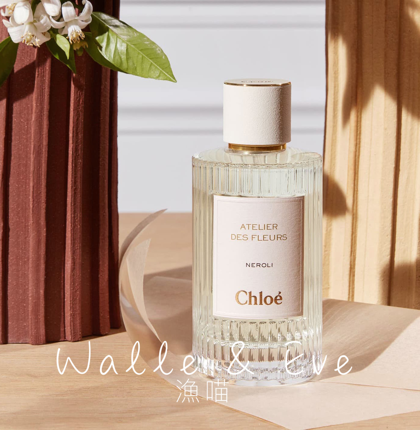 Yolo ❤(Hàng Mới Về) Nước Hoa Yolo Chloe Hương Hoa Mộc Lan Dung Tích 50ml