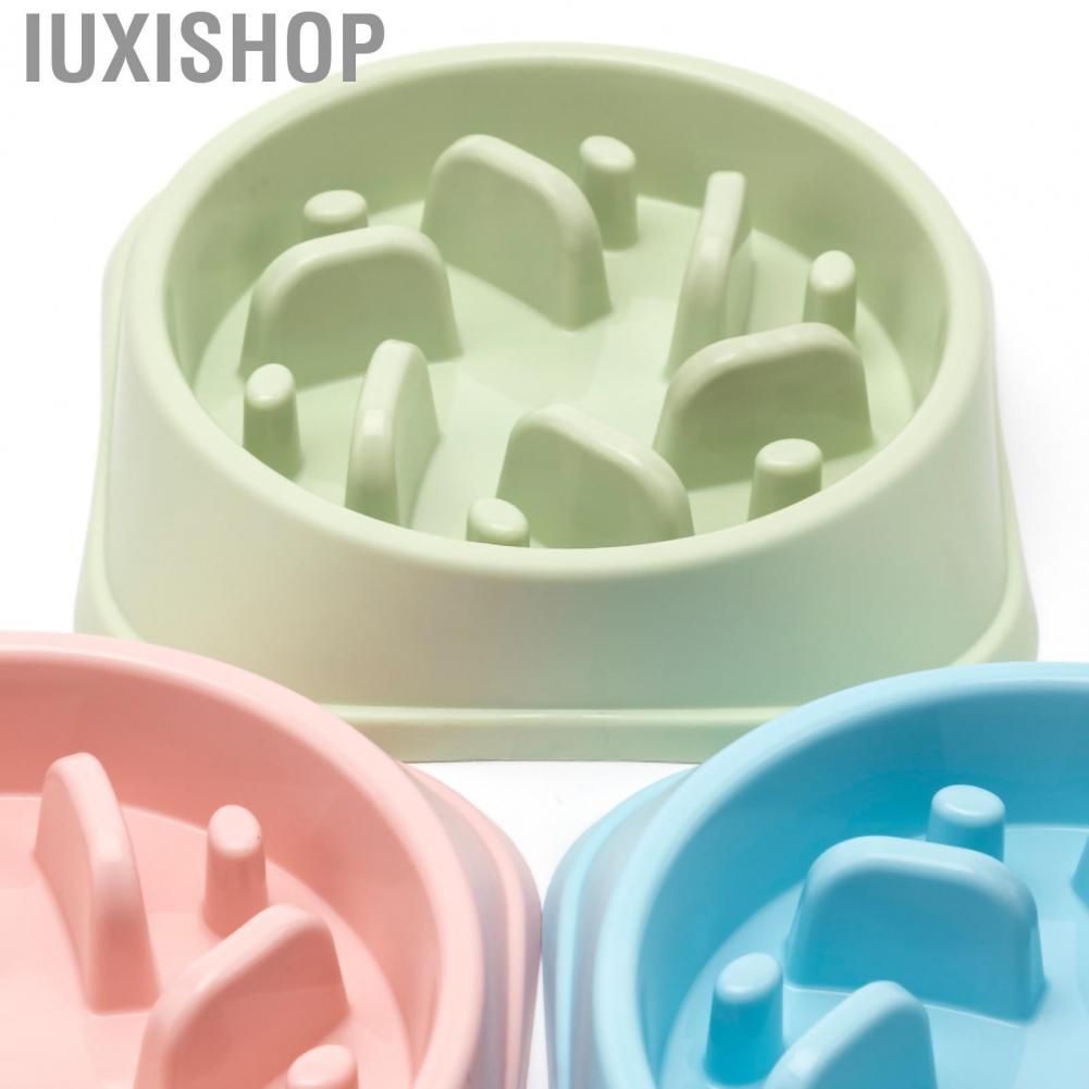 Iuxishop Dog Slow Food Bowl Feeder to Help Digestion with Stable Base for Dogs and Cats