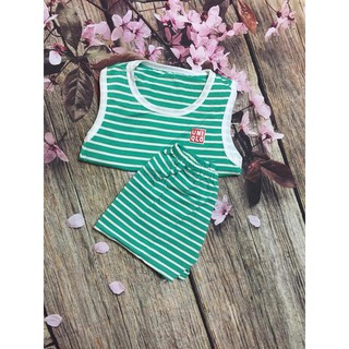 Vải cotton set 10 bộ