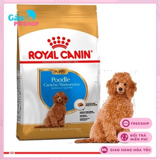 Hạt royal canin adult/ puppy cho chó poodle - túi 500g
