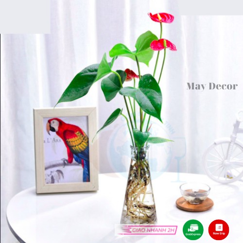 Lọ Hoa Thuỷ Tinh, Bình Bông Thủy Tinh Tam Giác | MAY Decor