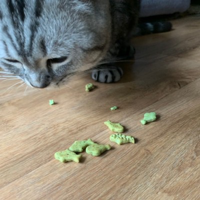 BÁNH THƯỞNG CỎ MÈO CATNIP BISCUIT 40G CHO MÈO  - Thức ăn dinh dưỡng thú cưng Gogi Meow Mart