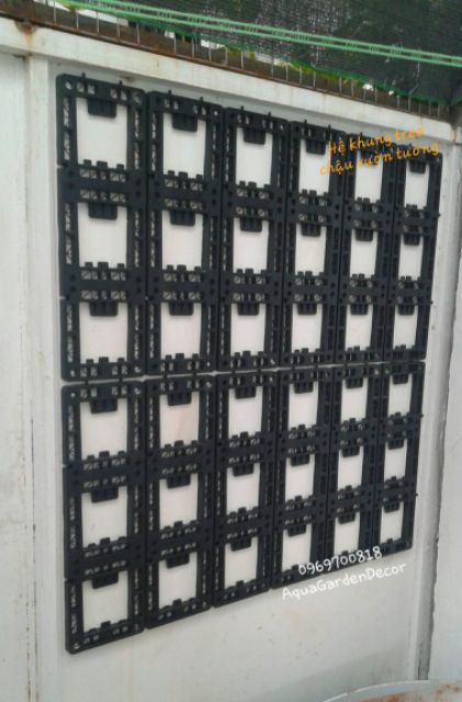 Chậu trồng cây trên tường