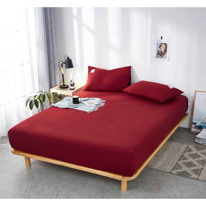 Bộ ga gối cotton tici - Bộ ga trải giường đơn màu sang trọng set 3 món nhiều mẫu full size