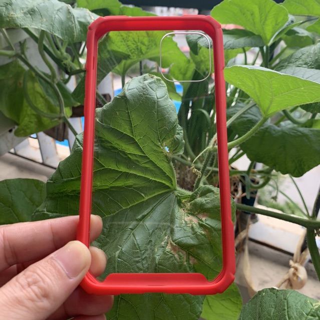 Ốp lưng điện thoại iPhone 11 6 màu viền cao su chống sốc chất lượng cao | BigBuy360 - bigbuy360.vn