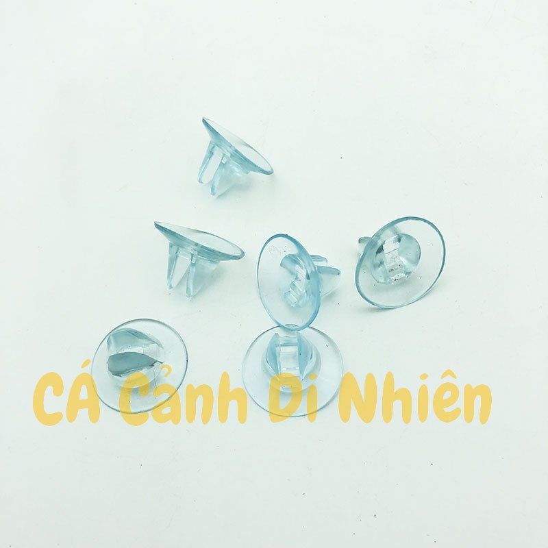 Bộ 2 chân hít CAO SU giữ kính ngăn hồ cá