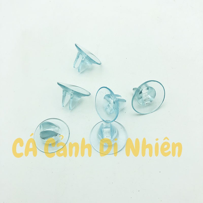 Bộ 2 chân hít CAO SU giữ kính ngăn hồ cá (hít kính 5MM) - khaditoys