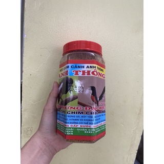 CÁM ANH THÔNG CHÍCH CHOÈ 500gr