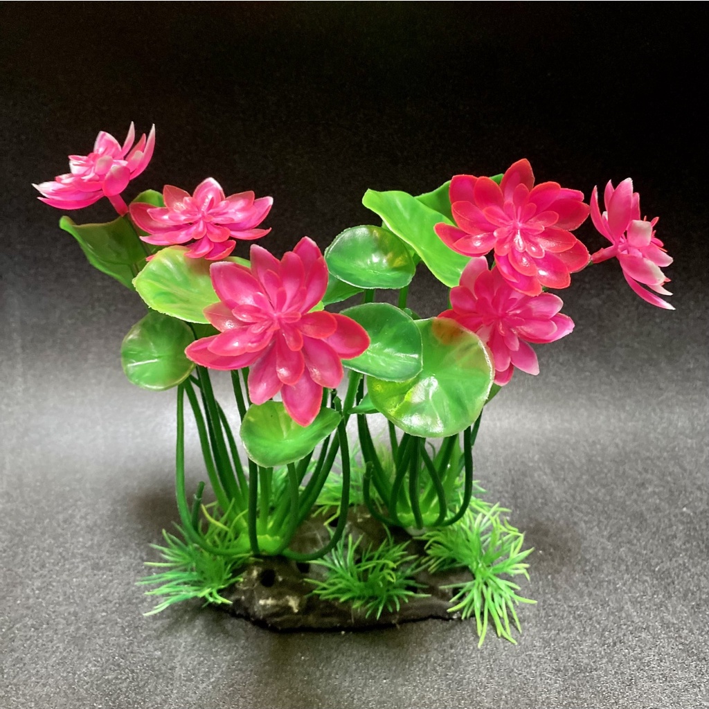 Cây sen nhựa trang trí bể cá - Cây thủy sinh
