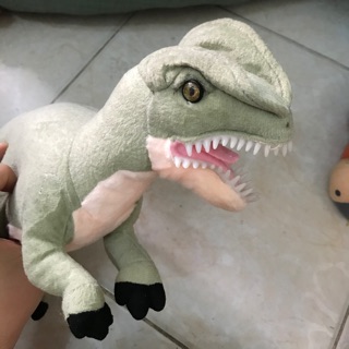 Gấu bông khủng Long của Tony Tran