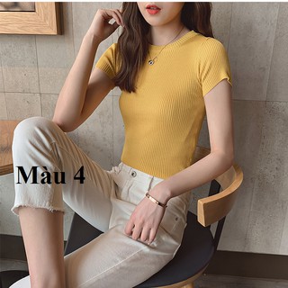 áo len tăm nữ cộc tay cổ tròn