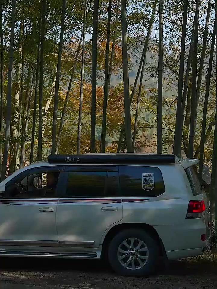 Bàn camping gấp gọn kết hợp hộp đựng đồ đa năng bằng nhựa, Khả năng chịu tải mạnh mẽ, Thùng trữ đồ | BigBuy360 - bigbuy360.vn