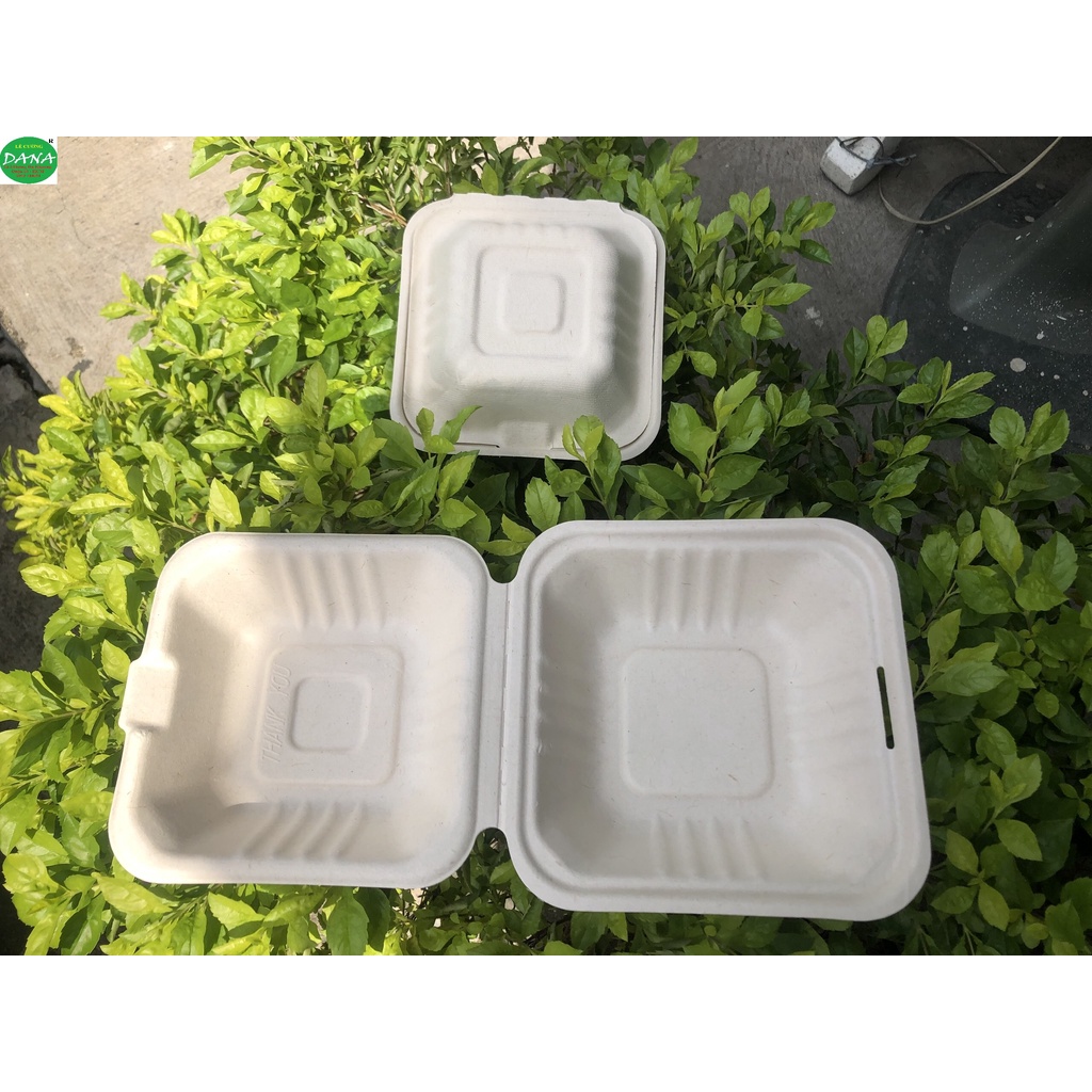 Hộp bã mía vuông - ( set 10 cái ).