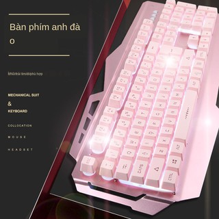 ✿Bộ bàn phím và chuột máy tính màu hồng có dây Trò chơi con gà Wrangler xách tay cơ học cô gái đỏ