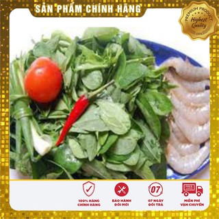 HẠT GIỐNG RAU NGÓT BỐN MÙA  ( gói 1 gr)