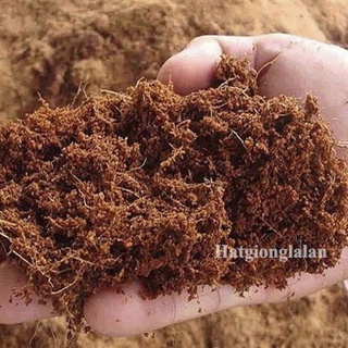 Mùn xơ dừa giá thể trồng lan ươm hạt giống 200gr, mùn xơ dừa trồng cây cảnh rau mầm