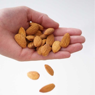 Nhân Hạt Hạnh Nhân (Không Vỏ) Hộp 500g