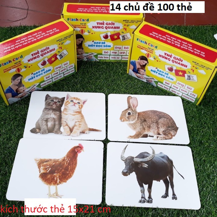 Bộ Thẻ Học Từ Vựng Kèm Hình Ảnh Size To Cho Bé- Dạy Trẻ Biết Đọc Sớm - Dạy Bé Nhận Biết Về Thế Giới Xung Quanh