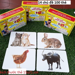 Bộ Thẻ Học Từ Vựng Kèm Hình Ảnh Size To Cho Bé- Dạy Trẻ Biết Đọc Sớm